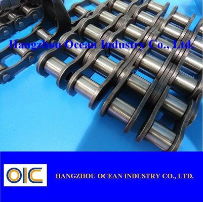 La Chine Roller Chain Chain Link Wire Mesh Built to Perform at 0 to 150 Degrees Fahrenheit for Construction Sites and Sports Facilities fournisseur